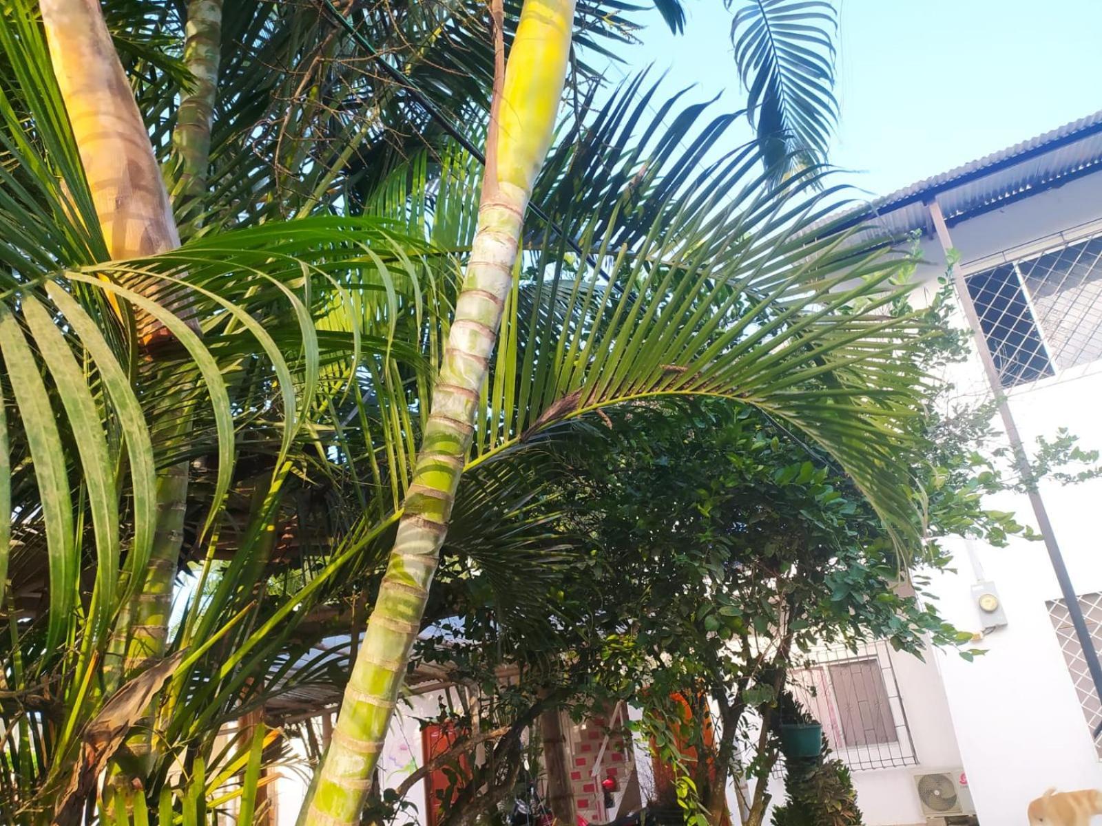 Hosteria Del Puerto Puerto López Exterior foto